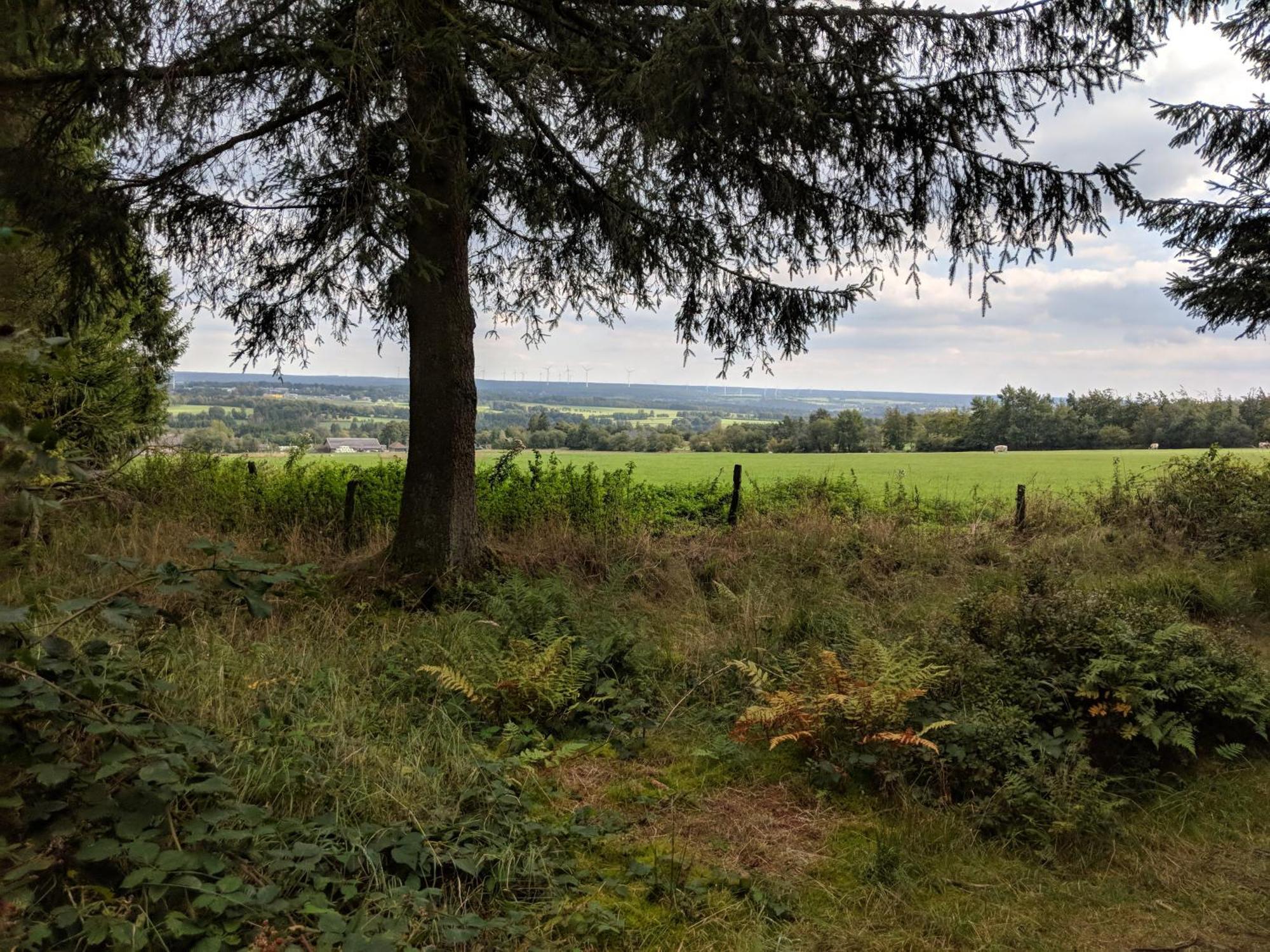 Victorhof Landurlaub Deine Auszeit Im Gruenen, Umgeben Von Wald & Wiesen Monschau Dış mekan fotoğraf